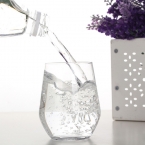 怡寶純凈水  555ML  1*24   中瓶-4