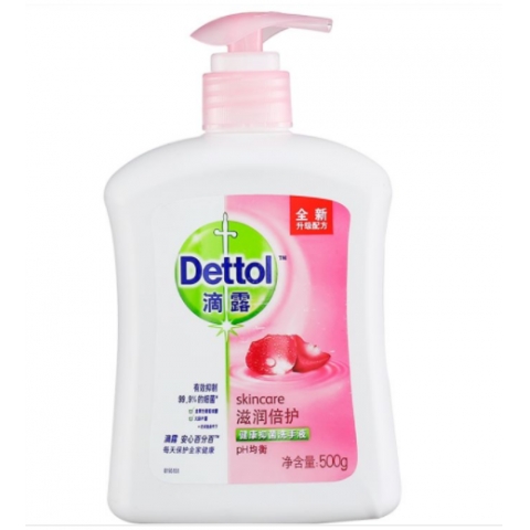 滴露健康抑菌滋潤倍護(hù)洗手液500ml-6