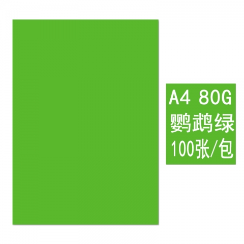 BESSIE彩色復(fù)印紙BS8108 A4 80G(100張)...