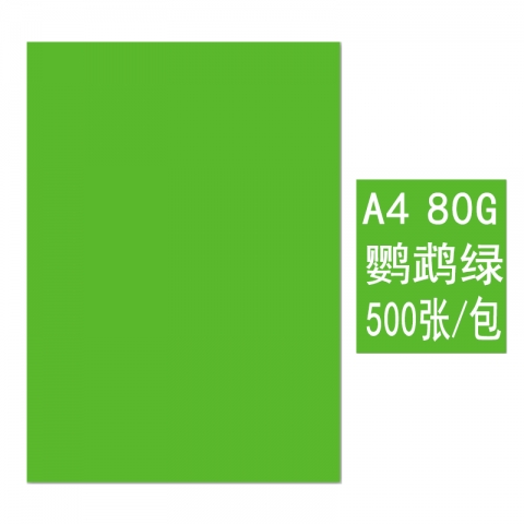 BESSIE彩色復(fù)印紙BS8208 A4 80G(500張)...